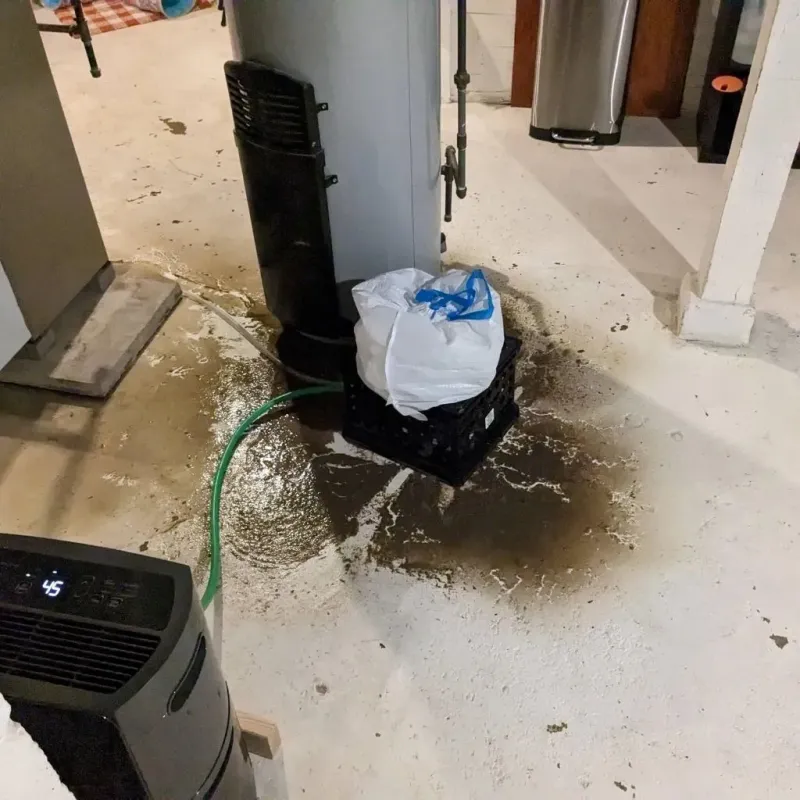 Sewage Backup Cleanup Service in Linneus, MO